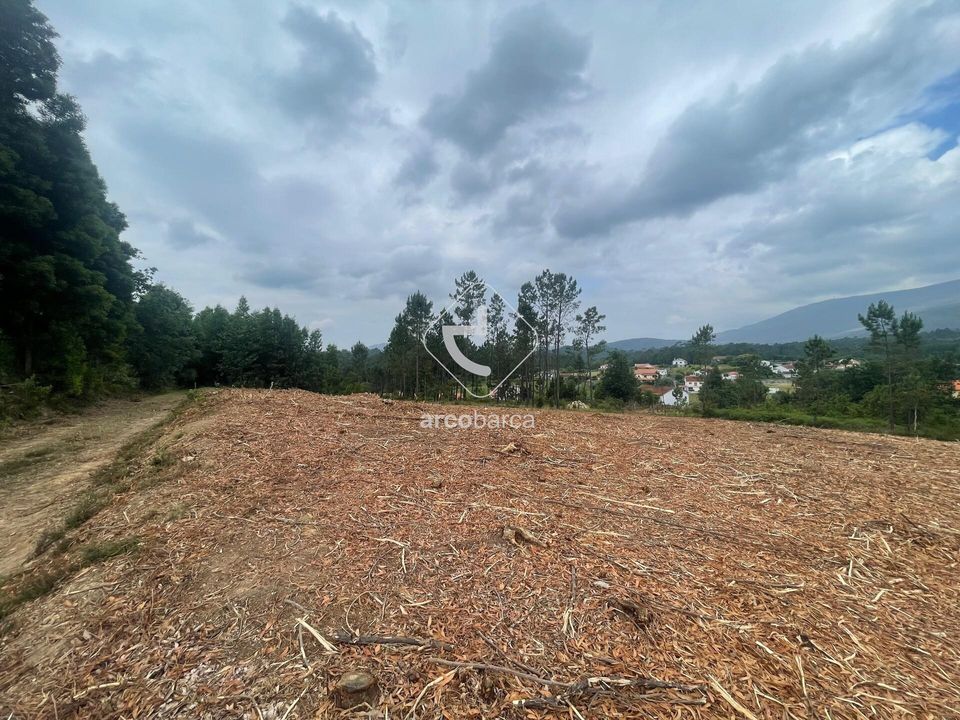 Terra a Ponte de Lima, Viana do Castelo - foto 1