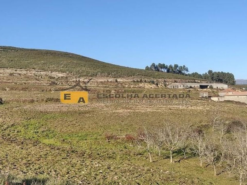 Farm i Baiao, Porto - foto 5