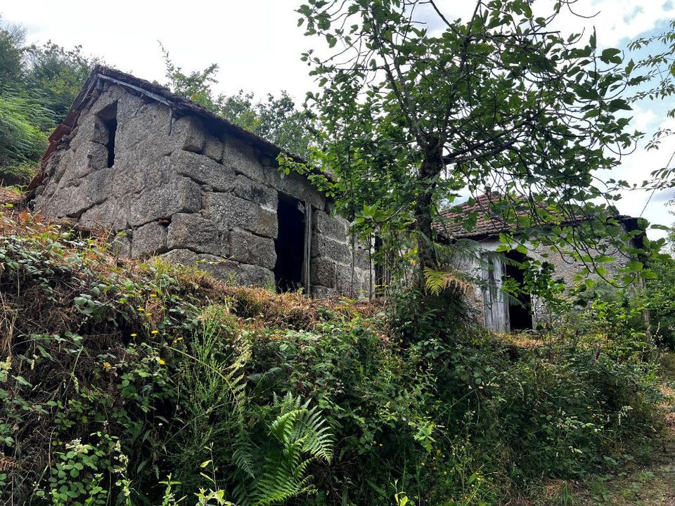 Farm i Amarante, Porto - foto 1