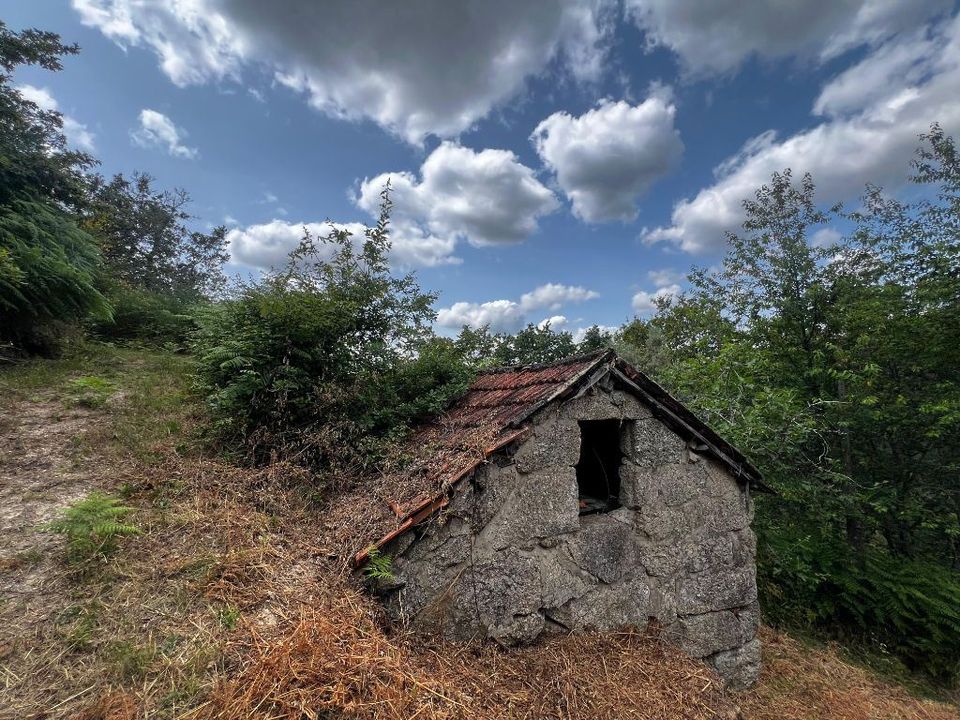Farm i Amarante, Porto - foto 2