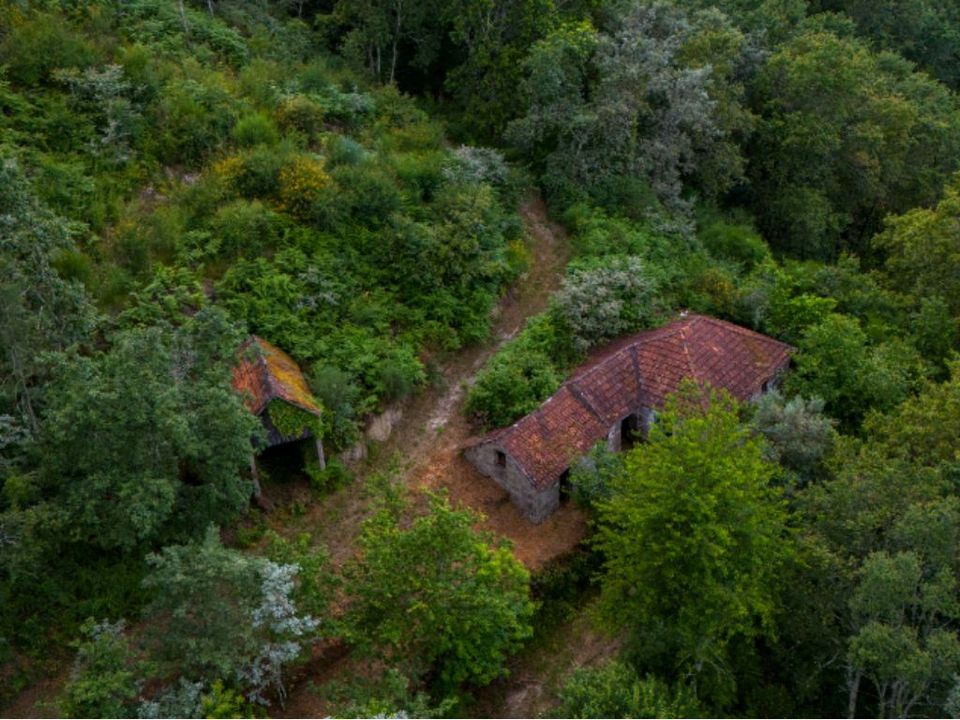 Farm i Amarante, Porto - foto 3