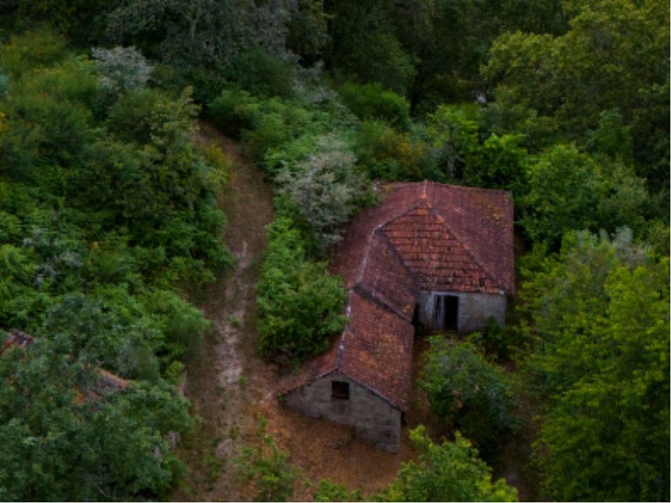 Farm i Amarante, Porto - foto 4