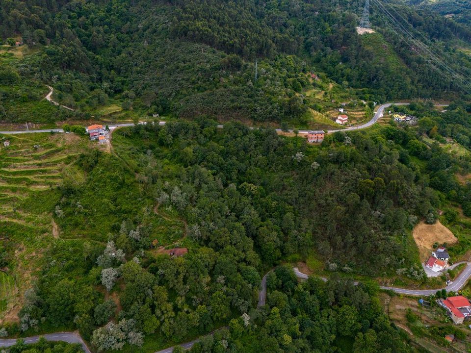 Farm i Amarante, Porto - foto 5
