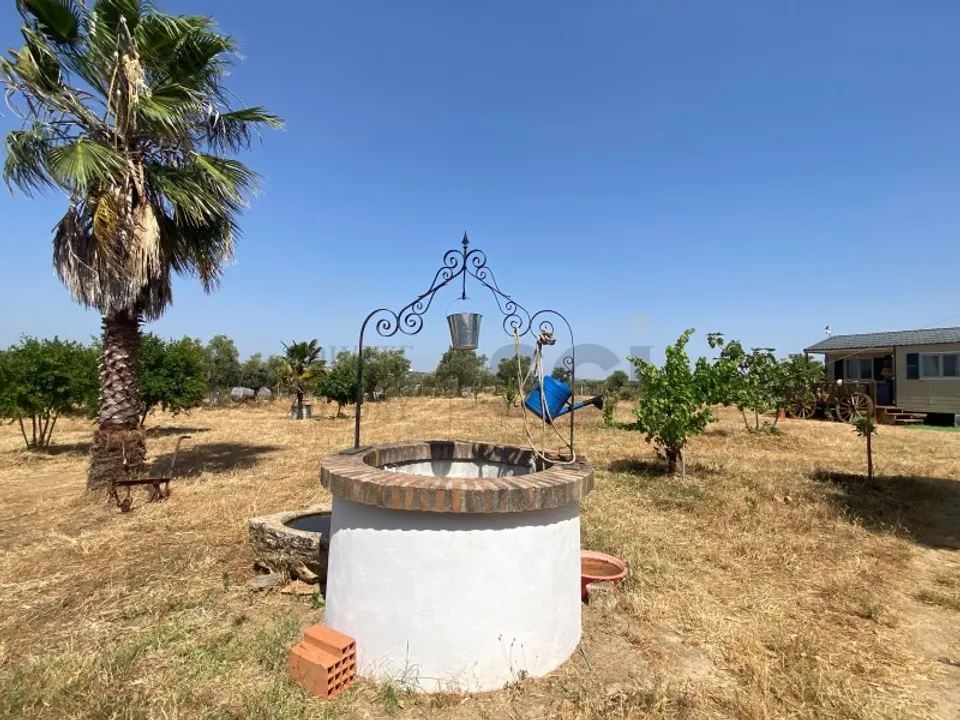 Farm i Moura, Beja - foto 2