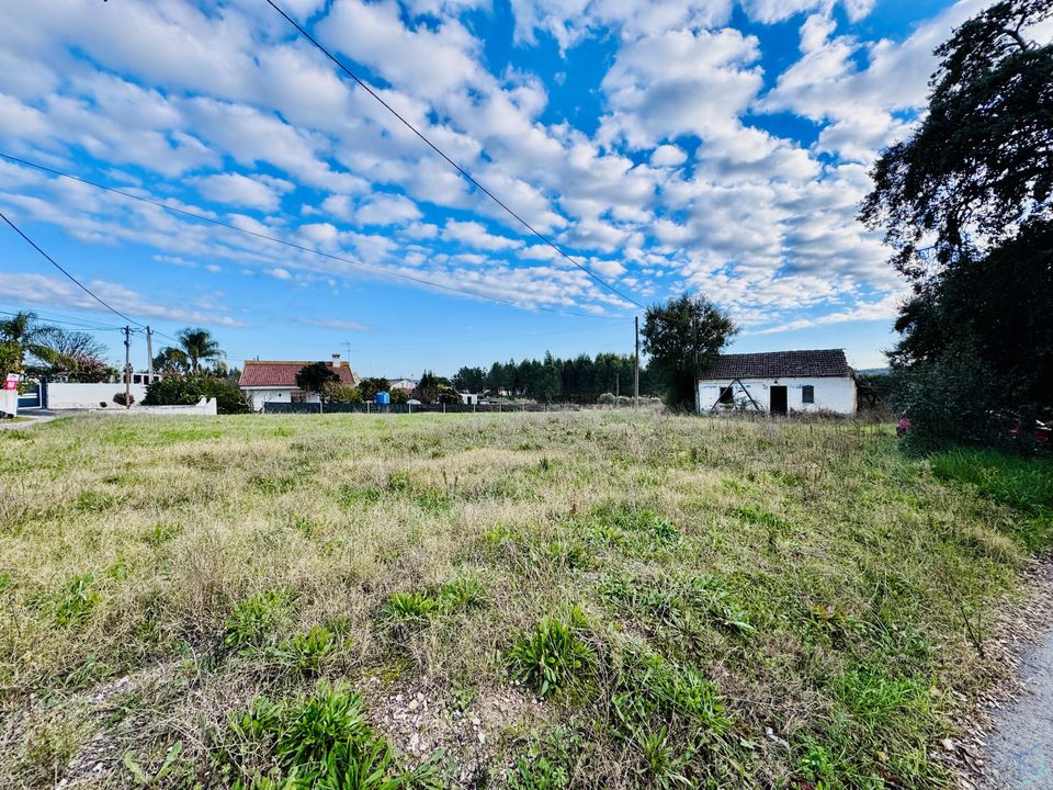 Villa i Tomar, Santarem - foto 4