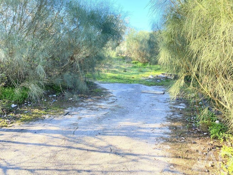 Helårsgrund i Palmela, Setubal - foto 3