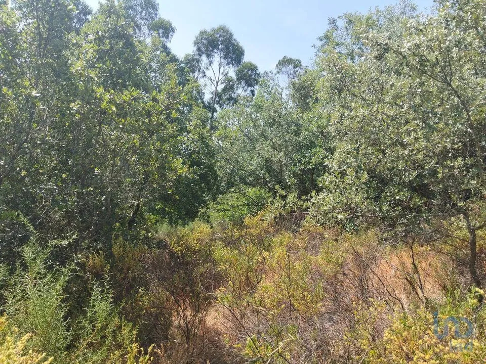 Helårsgrund i Ferreira do Zezere, Santarem - foto 2