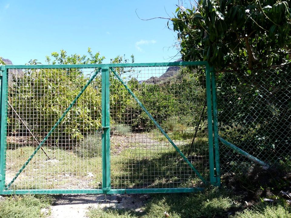 Landejendom i Cercado Espino, Gran Canaria - foto 2