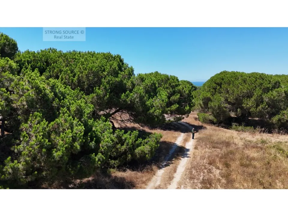 Helårsgrund i Sesimbra, Setubal - foto 4