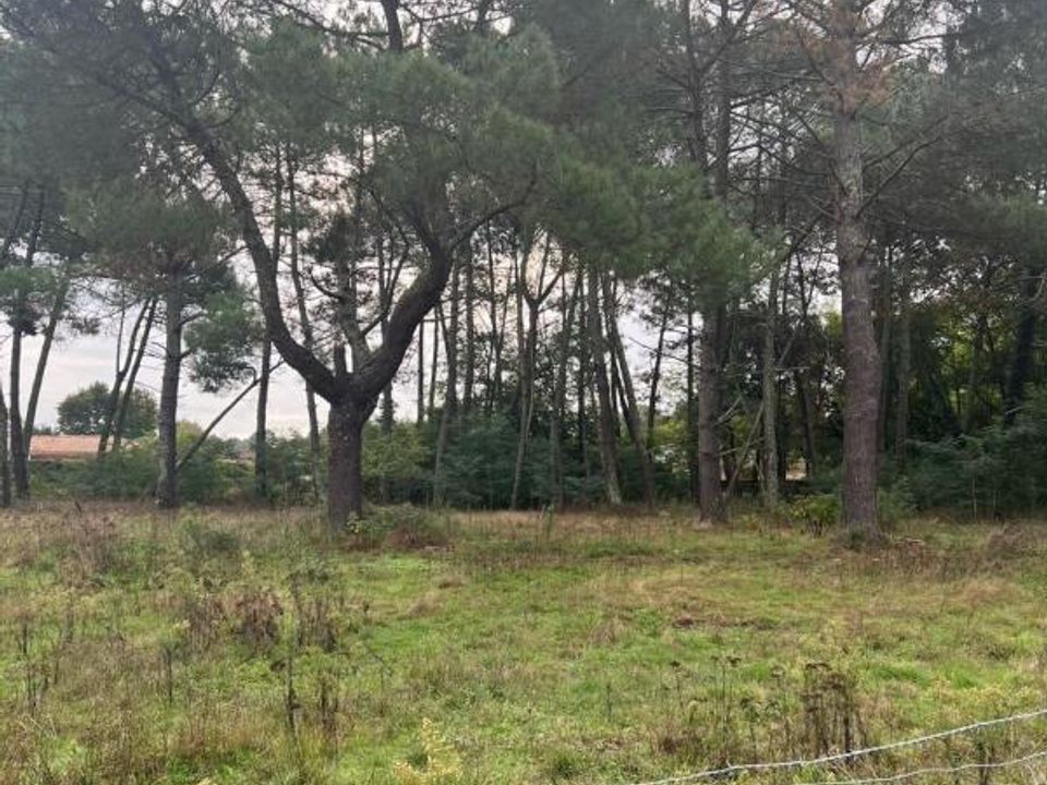 Helårsgrund i Saint-Aubin-de-Médoc, Gironde - foto 1