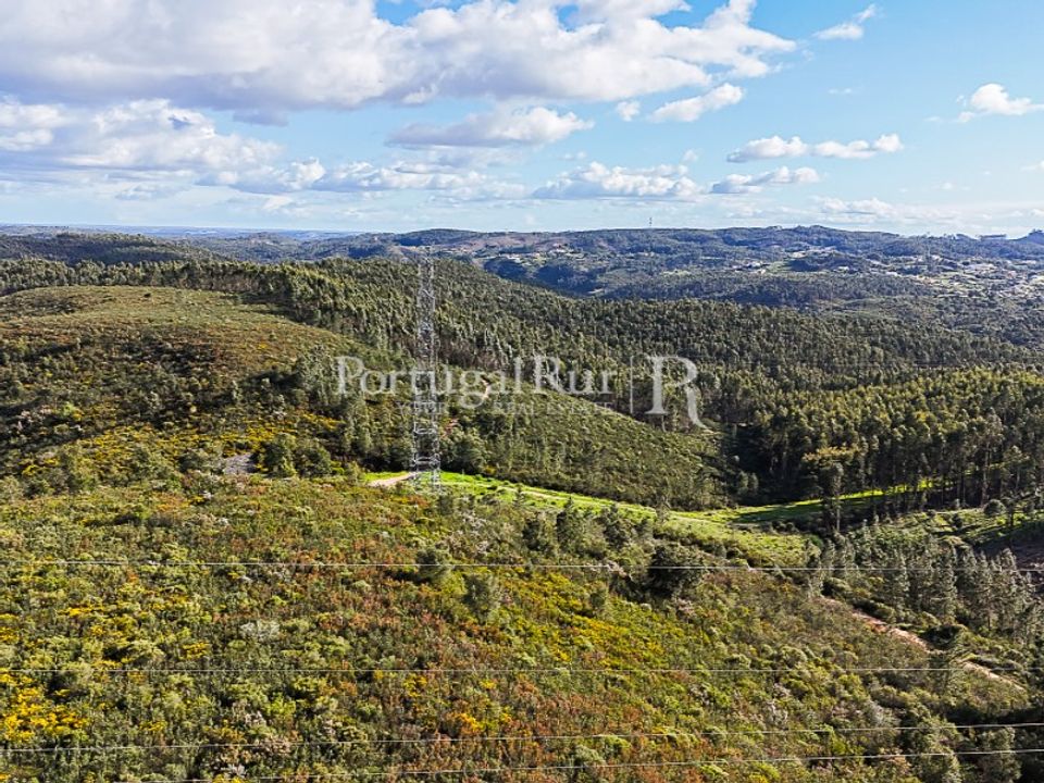 Masia a Tomar, Santarem - foto 4