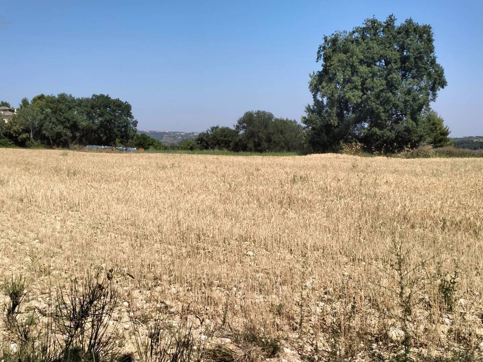 Helårsgrund i Grottammare, Ascoli Piceno - foto 2