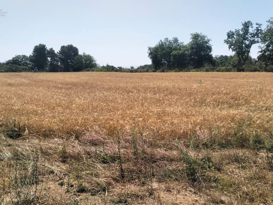 Helårsgrund i Grottammare, Ascoli Piceno - foto 3