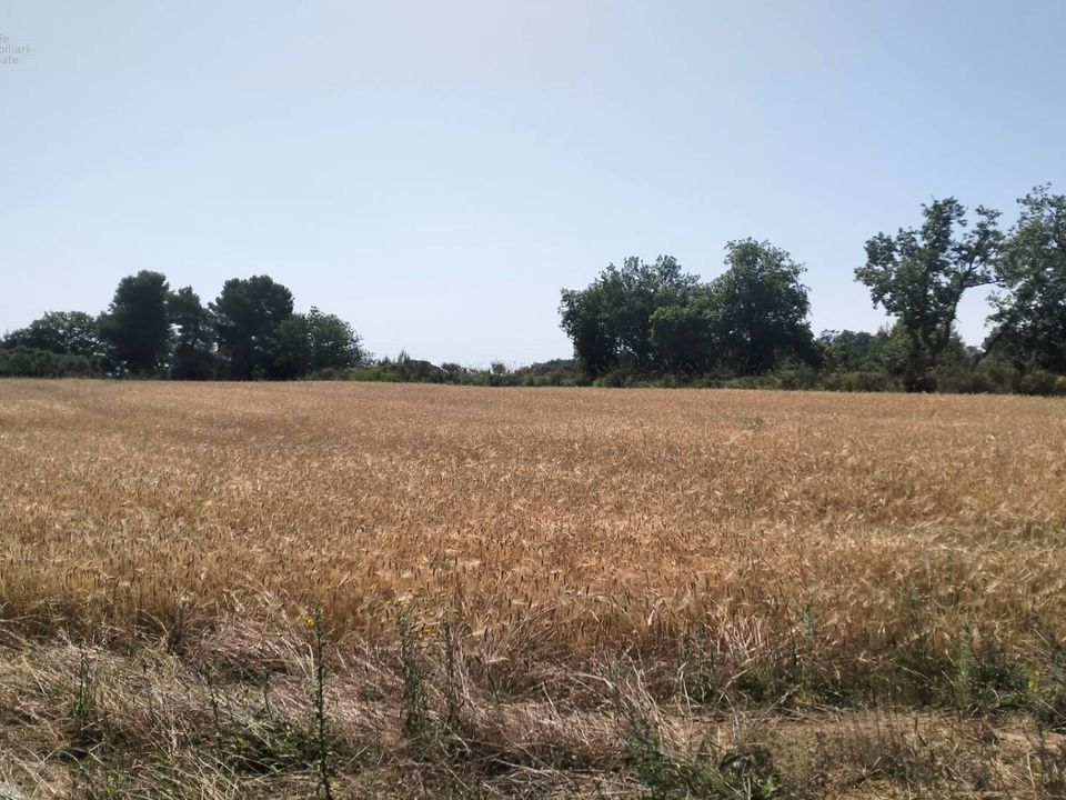 Helårsgrund i Grottammare, Ascoli Piceno - foto 4