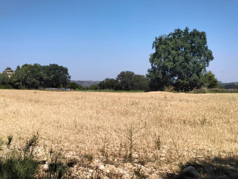 Helårsgrund i Grottammare, Ascoli Piceno - foto 5