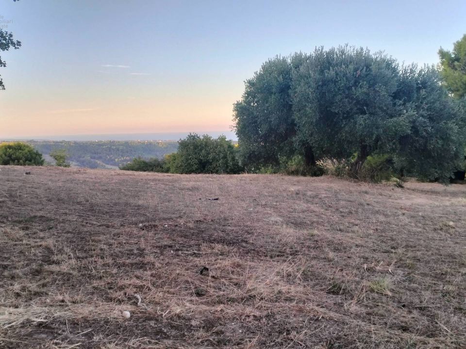 Tomt i Grottammare, Ascoli Piceno - bilde 2