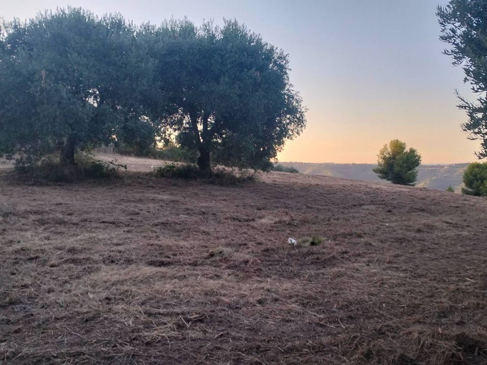 Tomt i Grottammare, Ascoli Piceno - bilde 3