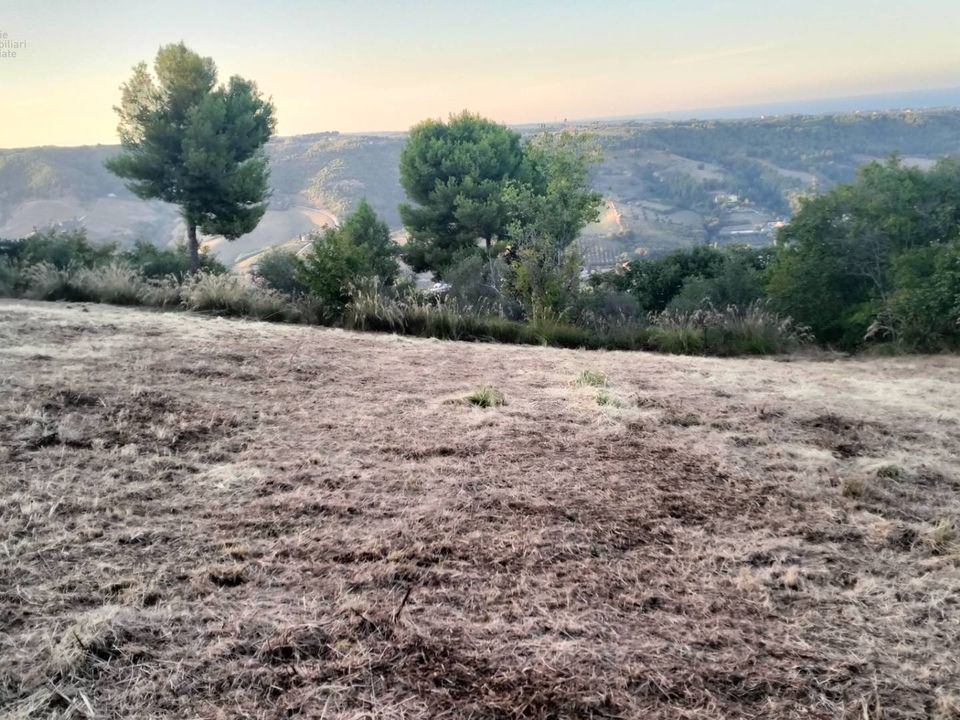 Tomt i Grottammare, Ascoli Piceno - bilde 4