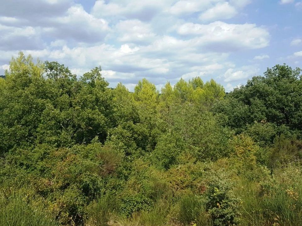 Działka: Cotignac, Var – zdjęcie 3