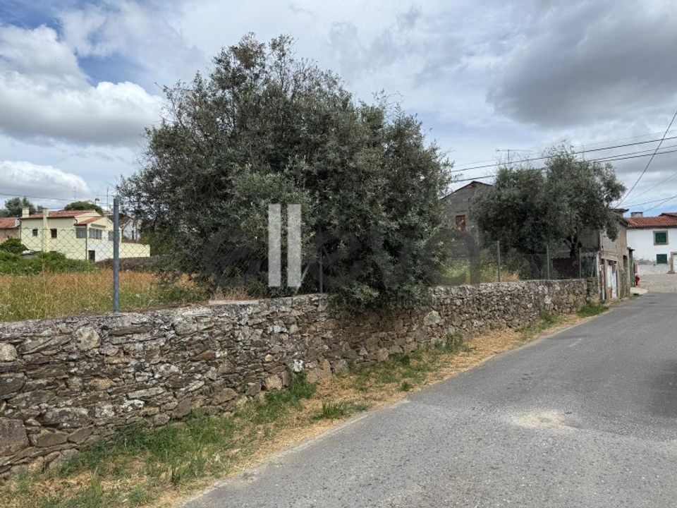 Helårsgrund i Castelo Branco, Castelo Branco - foto 2