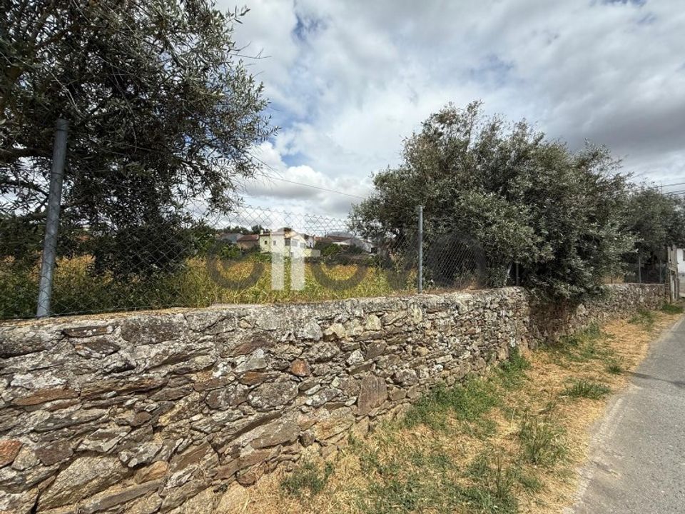 Helårsgrund i Castelo Branco, Castelo Branco - foto 5