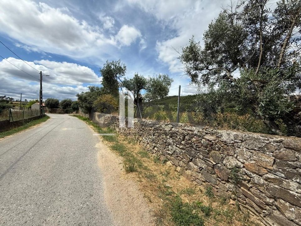 Helårsgrund i Castelo Branco, Castelo Branco - foto 4