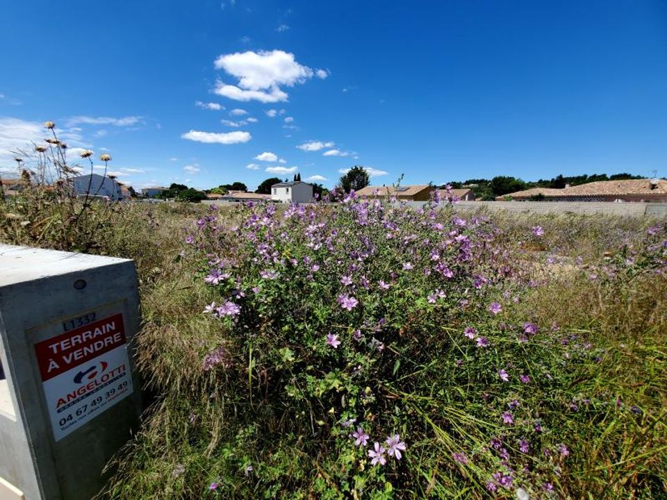 Terra em Lespignan, Herault - foto 2