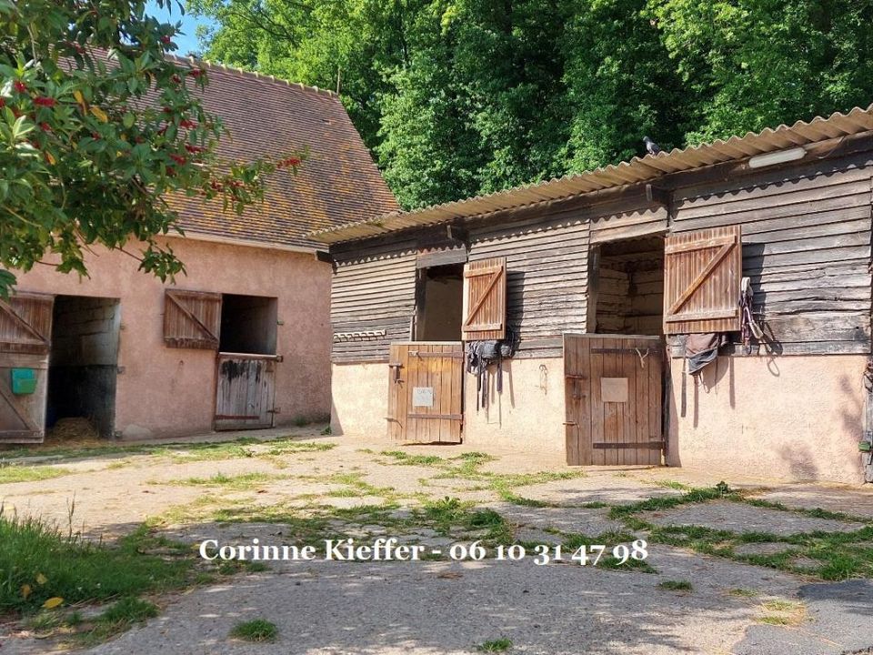 Landejendom i Bethemont-la-Foret, Val-d'Oise - foto 1