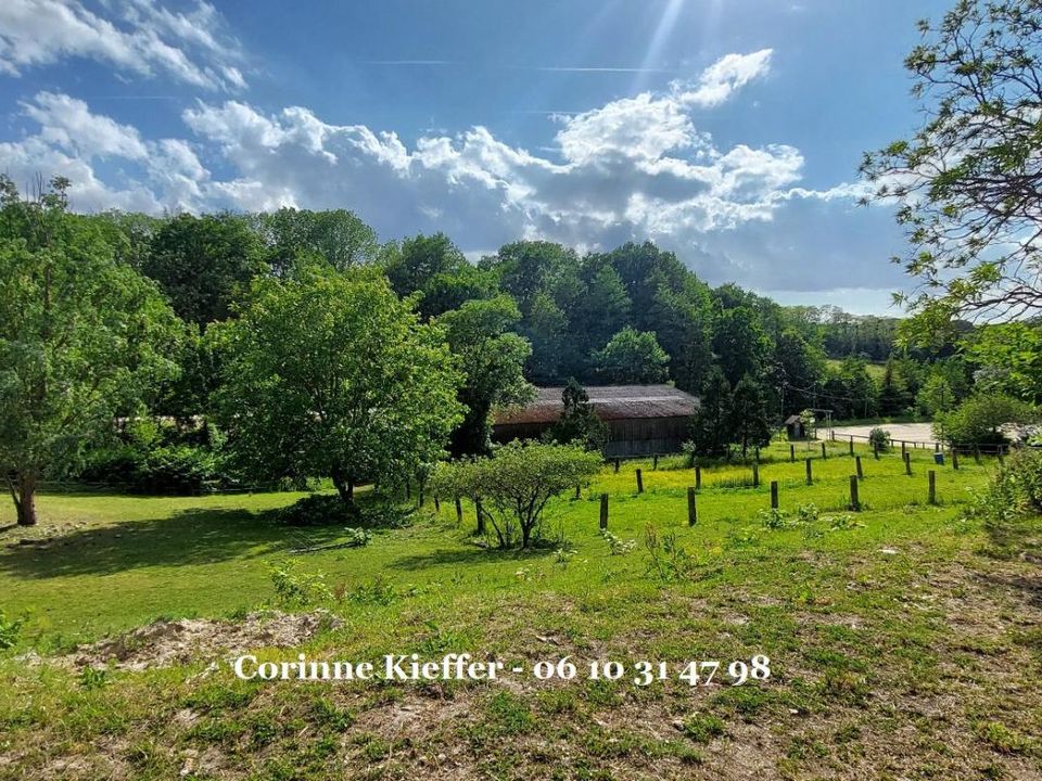 Landejendom i Bethemont-la-Foret, Val-d'Oise - foto 4