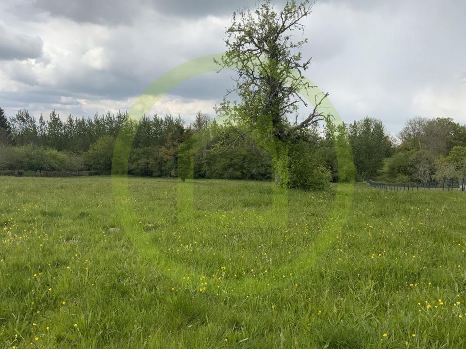 Helårsgrund i Pionnat, Creuse - foto 1