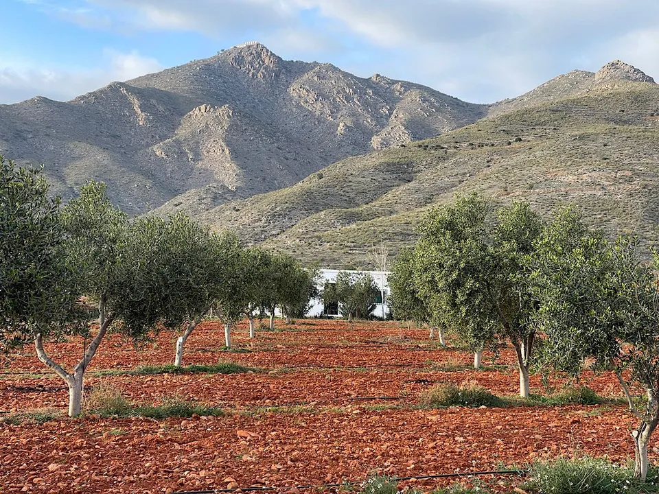 Helårsgrund i Uleila Del Campo, Almeria - foto 1