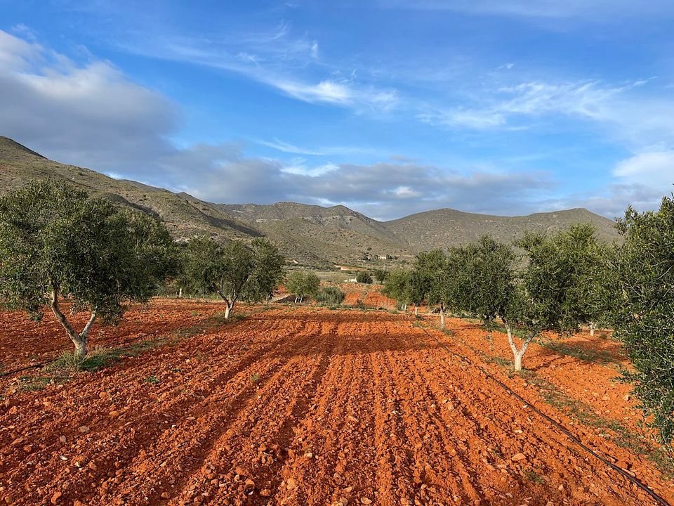 Helårsgrund i Uleila Del Campo, Almeria - foto 2