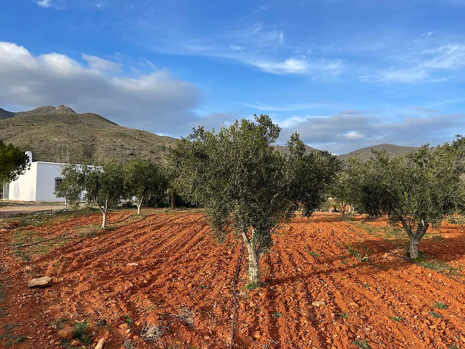 Helårsgrund i Uleila Del Campo, Almeria - foto 3