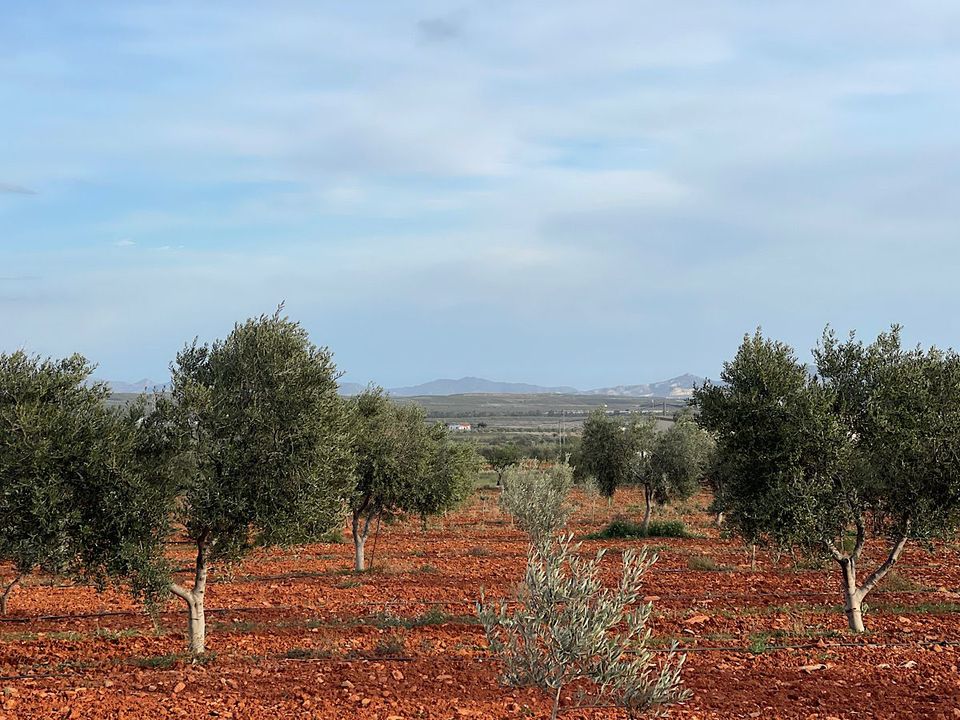Helårsgrund i Uleila Del Campo, Almeria - foto 5