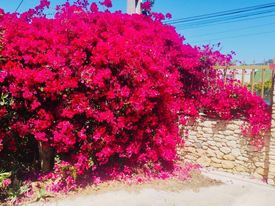 Villa a San Antonio De Portmany, Ibiza - foto 5