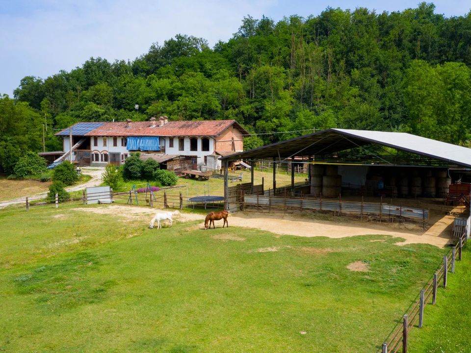 Villa i San Damiano d'Asti, Asti - foto 4