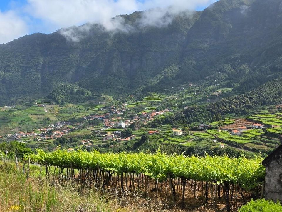 Helårsgrund i Sao Vincente, Madeira - foto 3