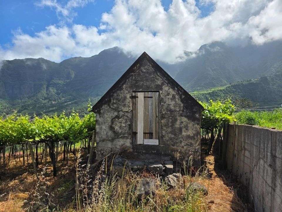 Helårsgrund i Sao Vincente, Madeira - foto 5