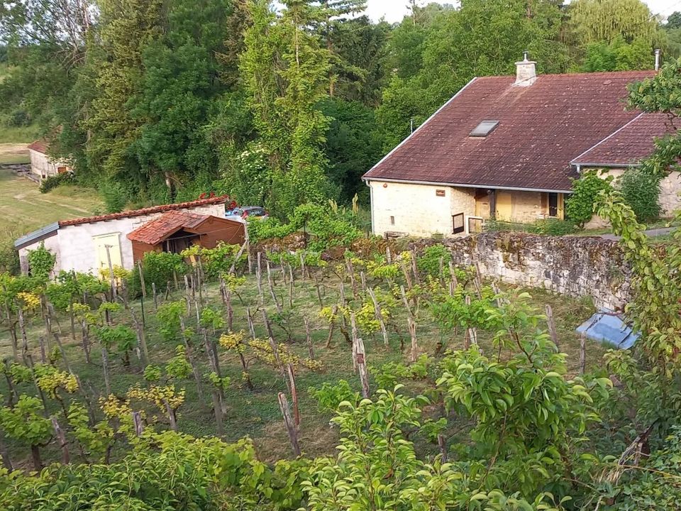 Landejendom i Les Thons, Vosges - foto 2