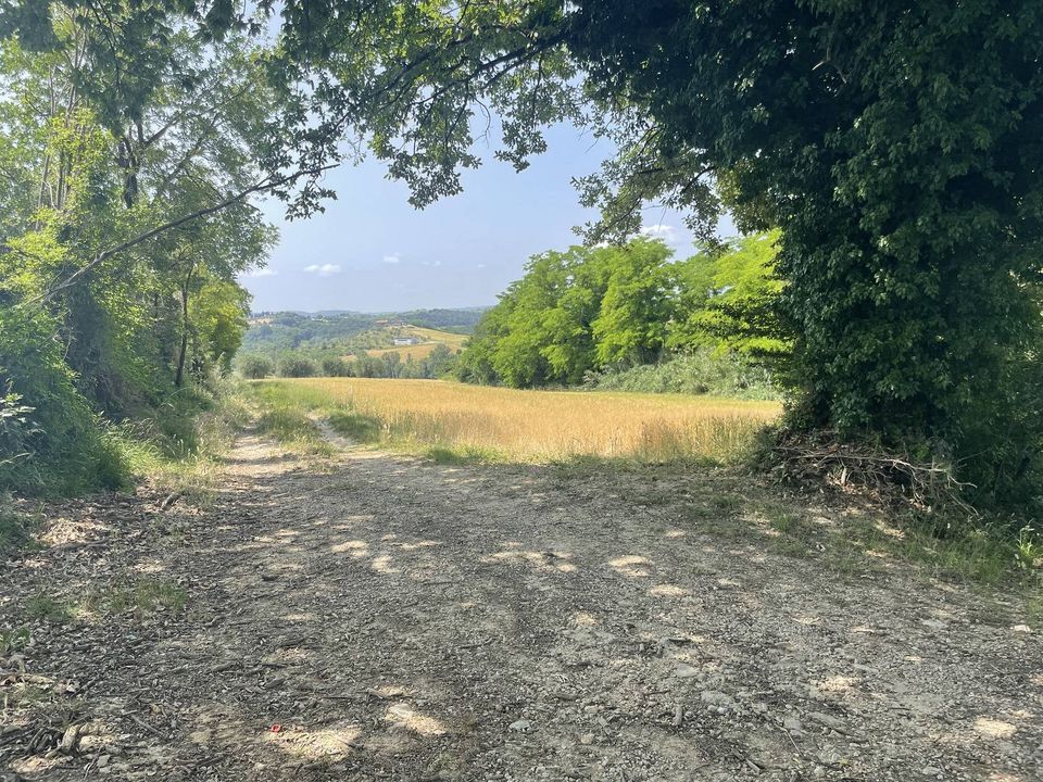 Tomt i Narni, Terni - bilde 3