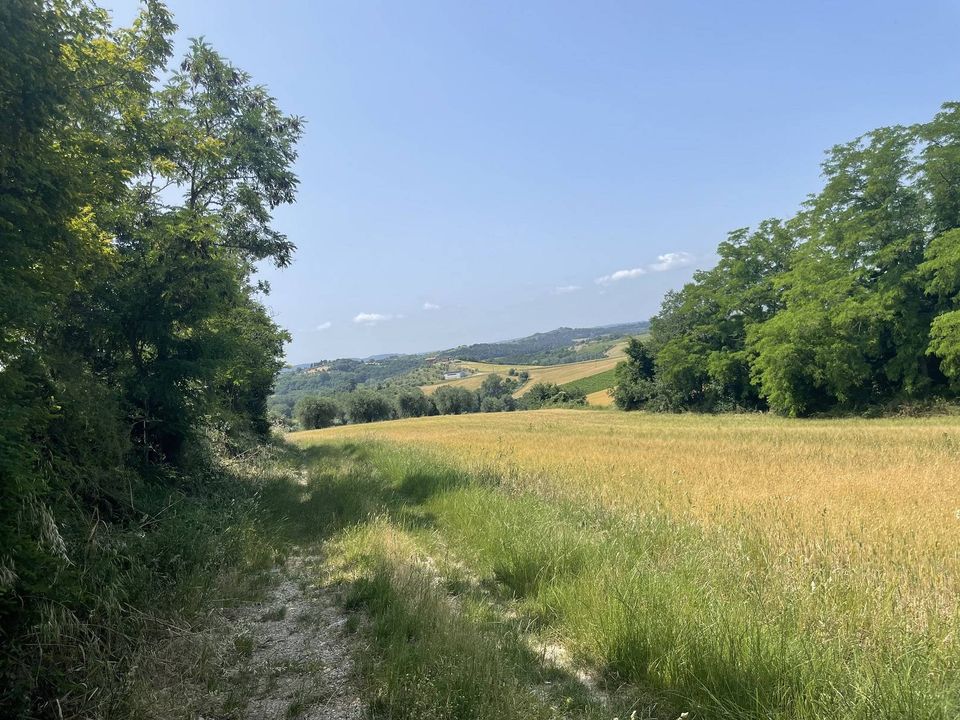 Tomt i Narni, Terni - bilde 4