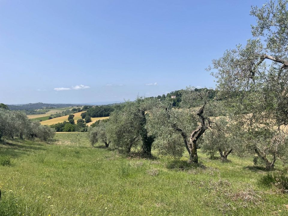Tomt i Narni, Terni - bilde 5