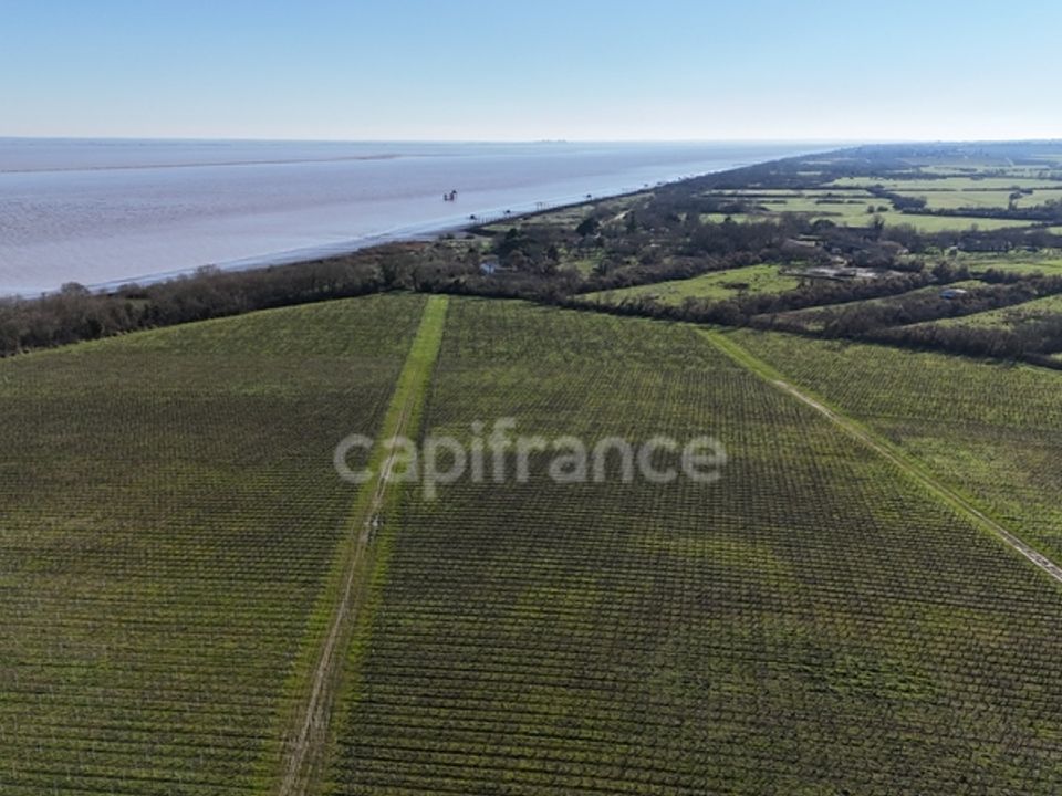 Granja a Saint-Yzans-de-Médoc, Gironde - foto 2