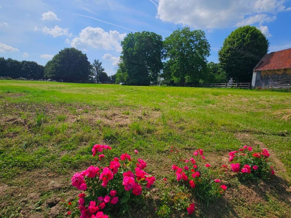 Helårsgrund i Avesnes-le-Comte, Pas-de-Calais - foto 1