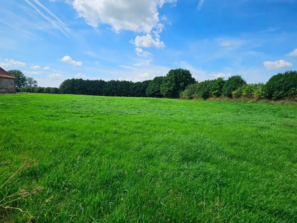 Helårsgrund i Avesnes-le-Comte, Pas-de-Calais - foto 1