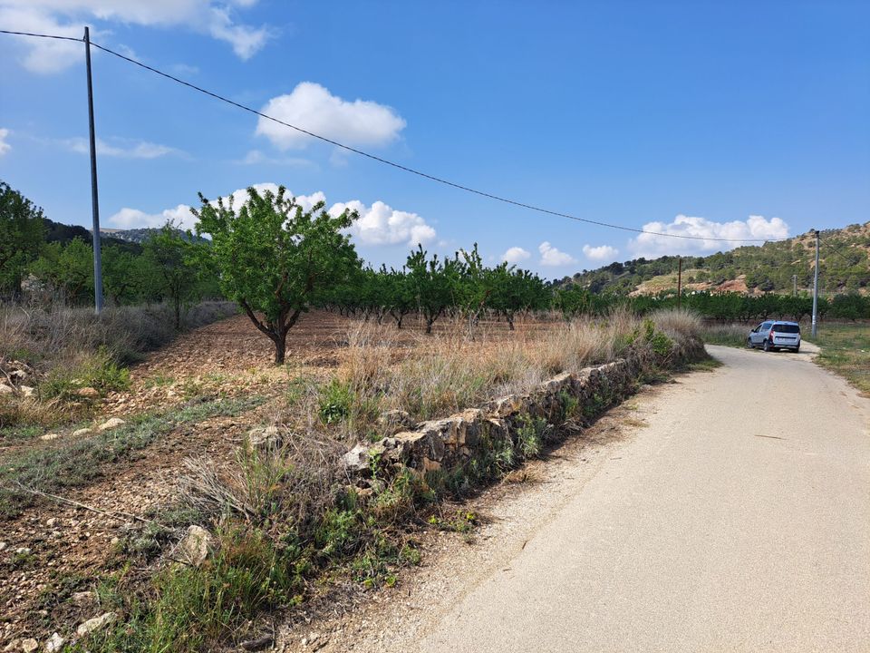 Helårsgrund i Pinoso, Alicante - foto 2