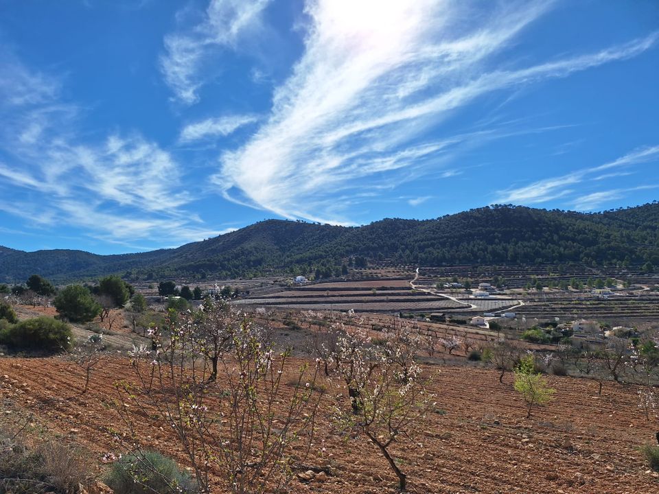 Helårsgrund i Pinoso, Alicante - foto 1