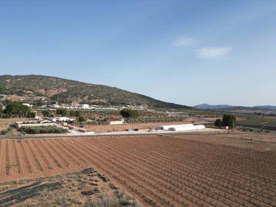 Helårsgrund i Pinoso, Alicante - foto 1