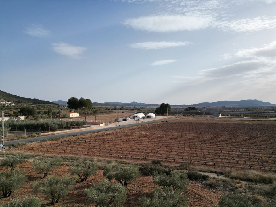 Helårsgrund i Pinoso, Alicante - foto 2