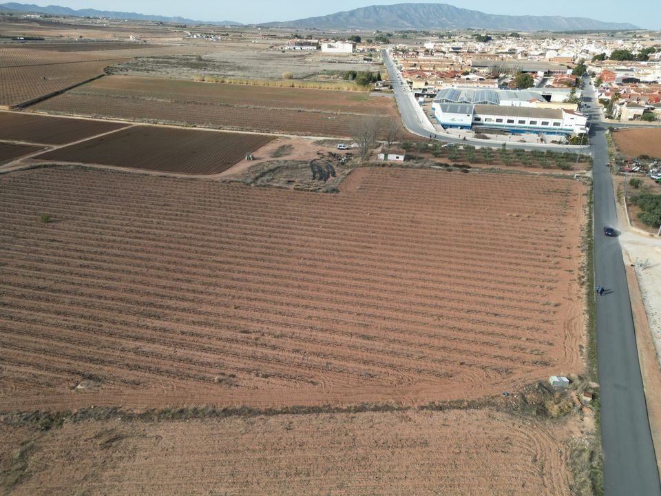 Helårsgrund i Pinoso, Alicante - foto 3